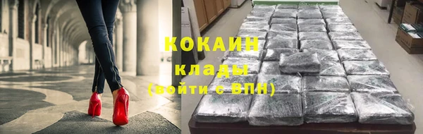стаф Нея
