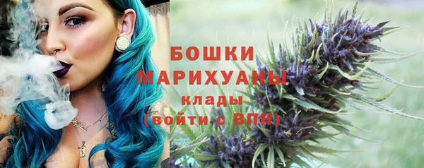 стаф Нея