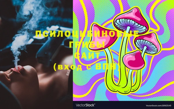 стаф Нея