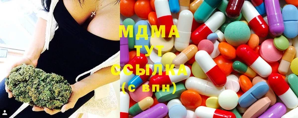 индика Нефтегорск