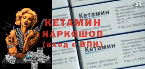 твердый Новозыбков