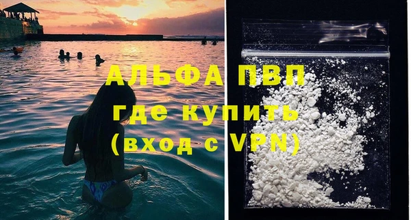 стаф Нея
