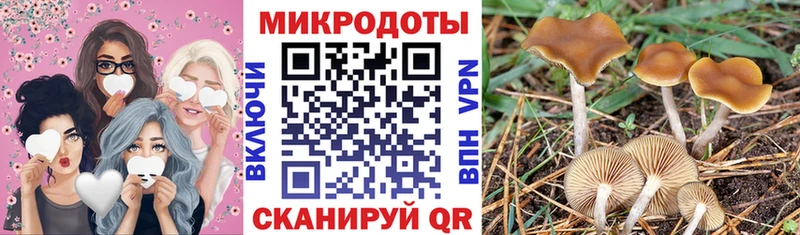 Галлюциногенные грибы Psilocybine cubensis  Рудня 